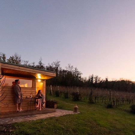 Agriturismo Terre Bianche Teolo Buitenkant foto