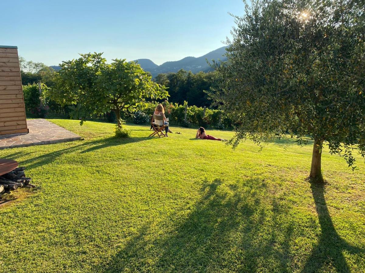 Agriturismo Terre Bianche Teolo Buitenkant foto
