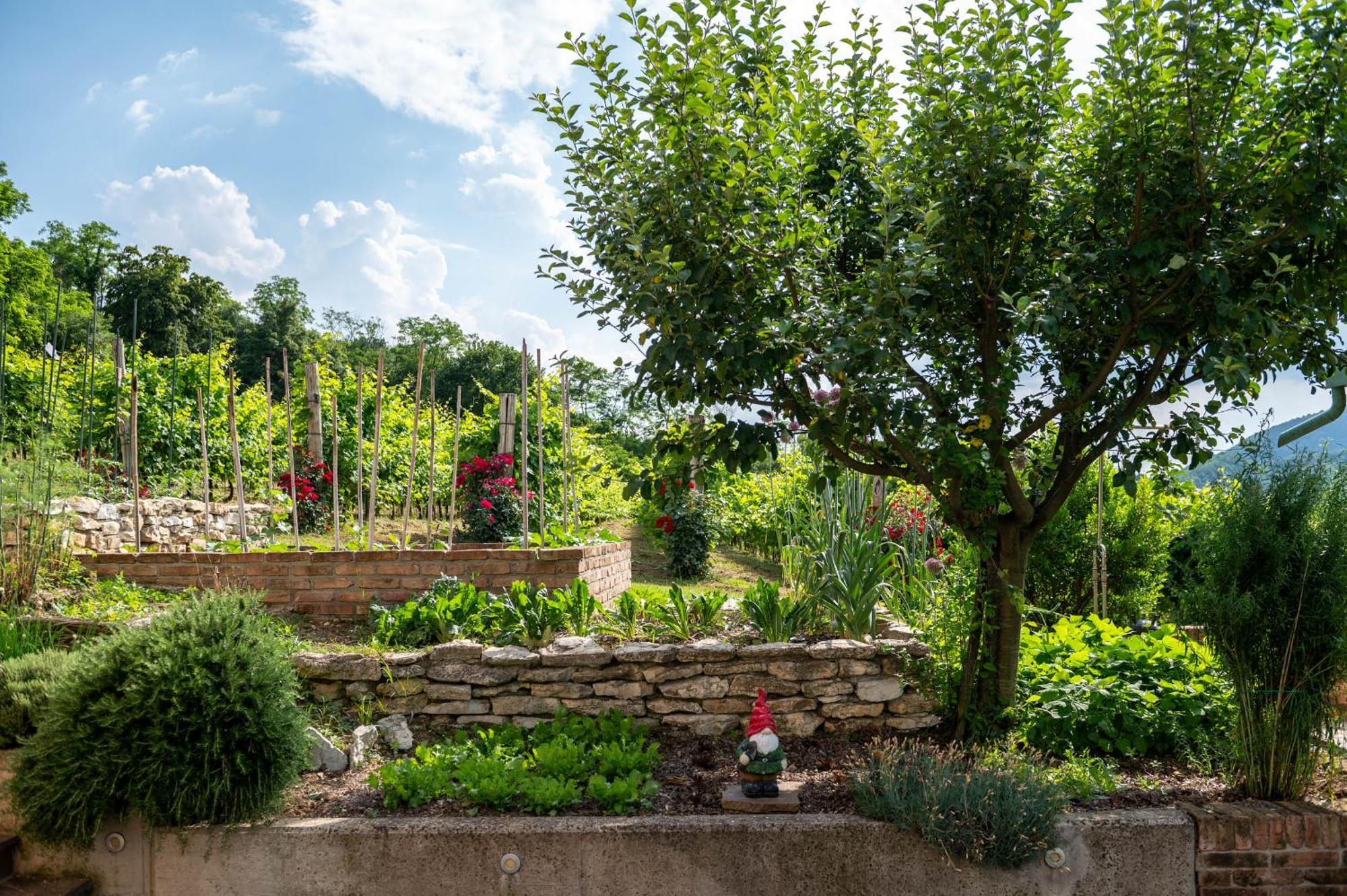 Agriturismo Terre Bianche Teolo Buitenkant foto