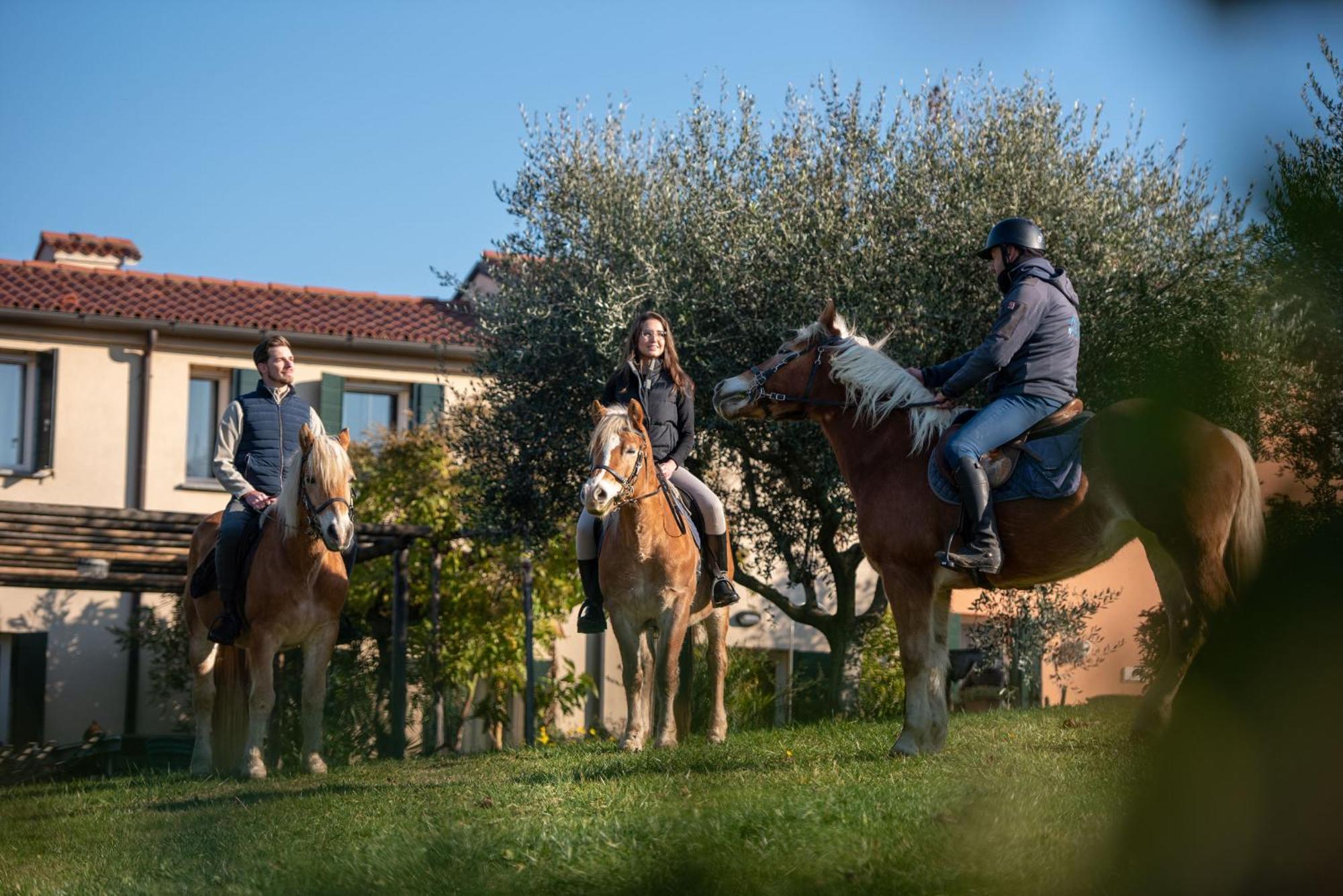 Agriturismo Terre Bianche Teolo Buitenkant foto